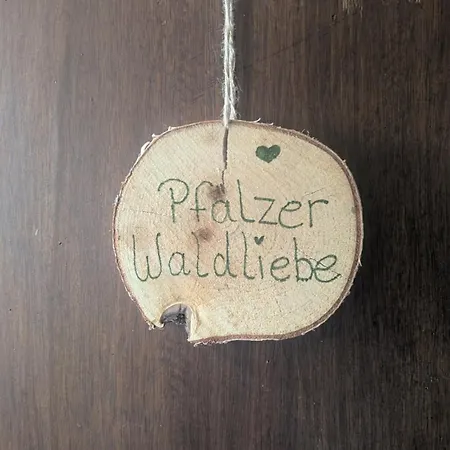 Pfaelzer Waldliebe Apartamento